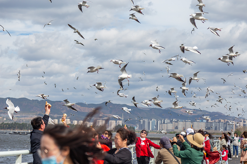 ????? ??????? ????? ???? ??????? ????? ??? ???????