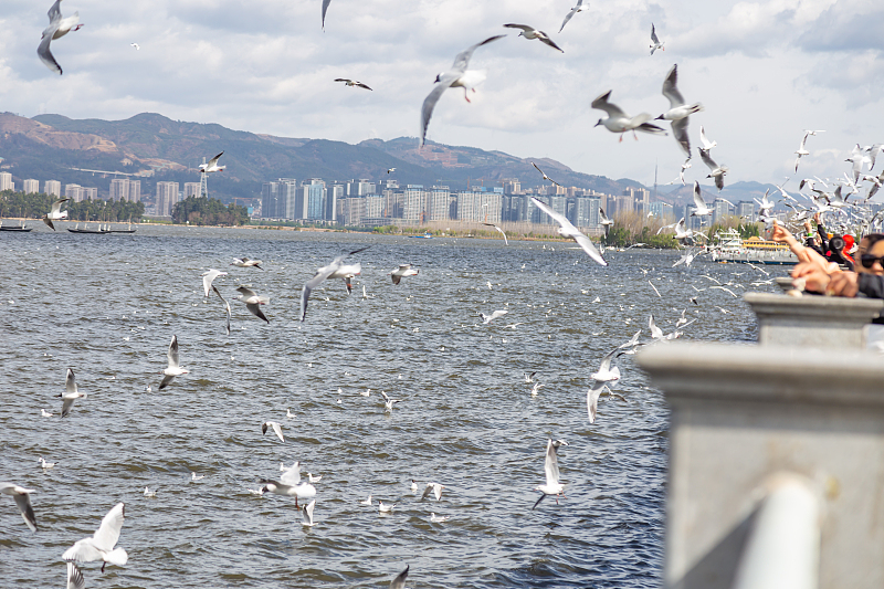 ????? ??????? ????? ???? ??????? ????? ??? ???????