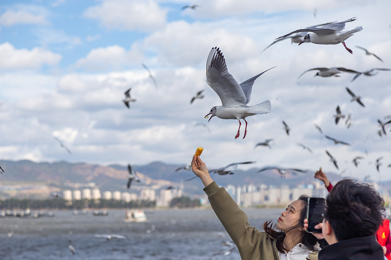 ????? ??????? ????? ???? ??????? ????? ??? ???????