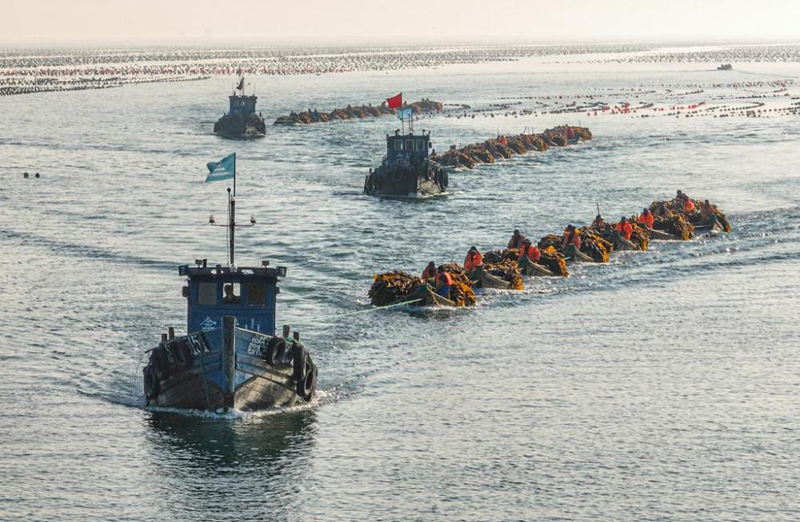 ??????: ???? ??????? ??????? ????? ?????