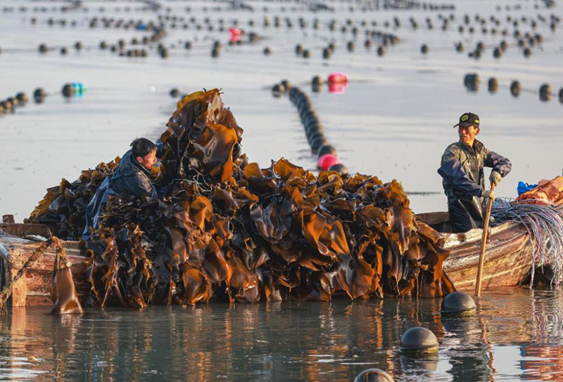 ??????: ???? ??????? ??????? ????? ?????