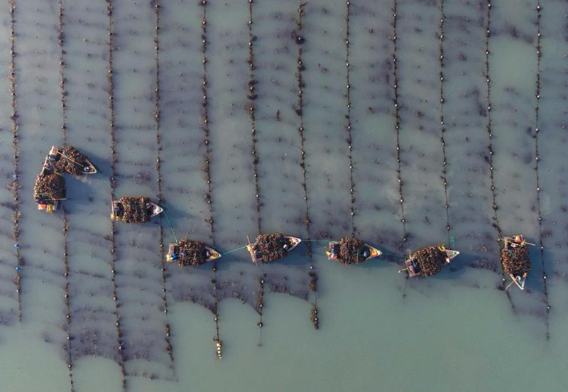 ??????: ???? ??????? ??????? ????? ?????