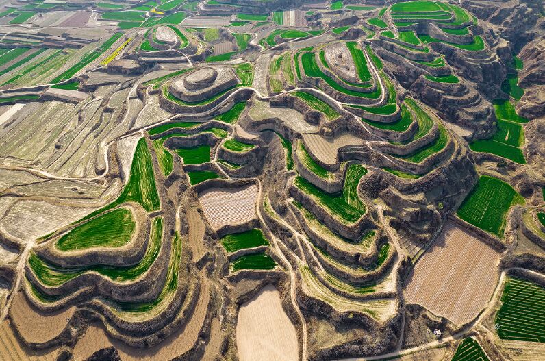 ??????? ?????: ???? ?????? ??????? ??? ???? ????? ?? ??????