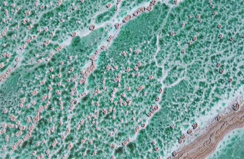 ??? ???? ???????? .. ????? ??????