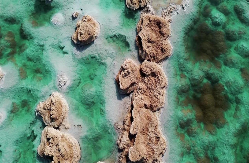 ??? ???? ???????? .. ????? ??????