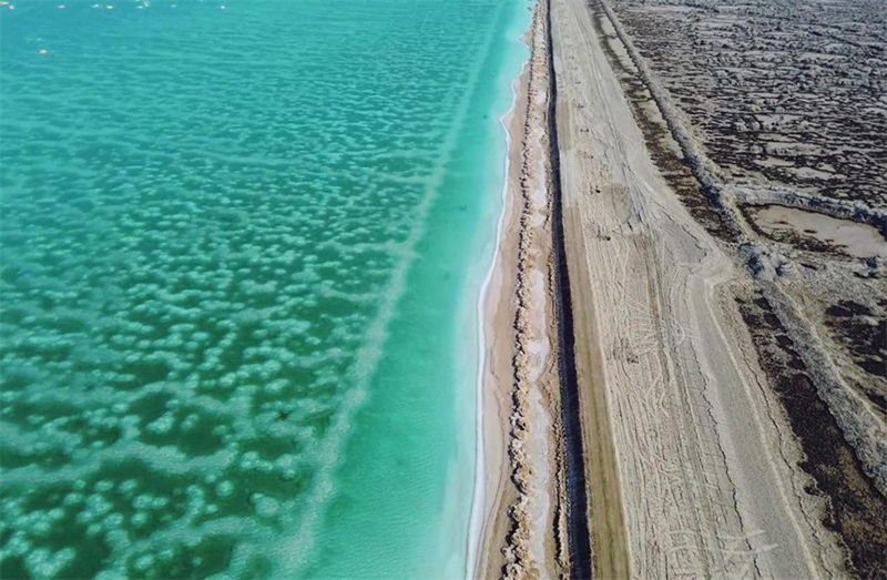 ??? ???? ???????? .. ????? ??????