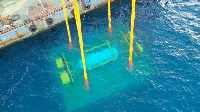 ????? ???? ??? ???? ?????? ???? ?? ???? ????? ??????