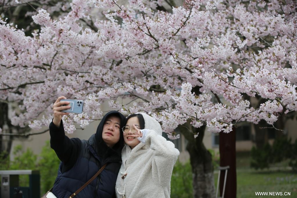 ????? ???? ????? 24 ????? ???? ?????? ????? ???? ??? 