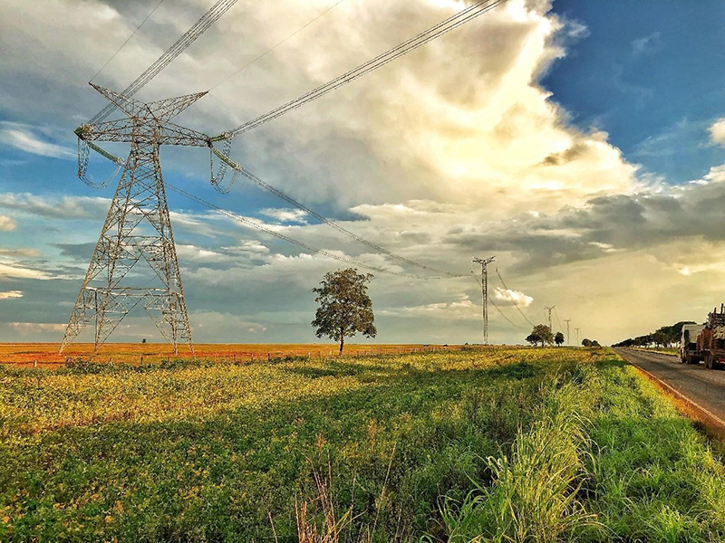 ?????: ???? ??? ?????