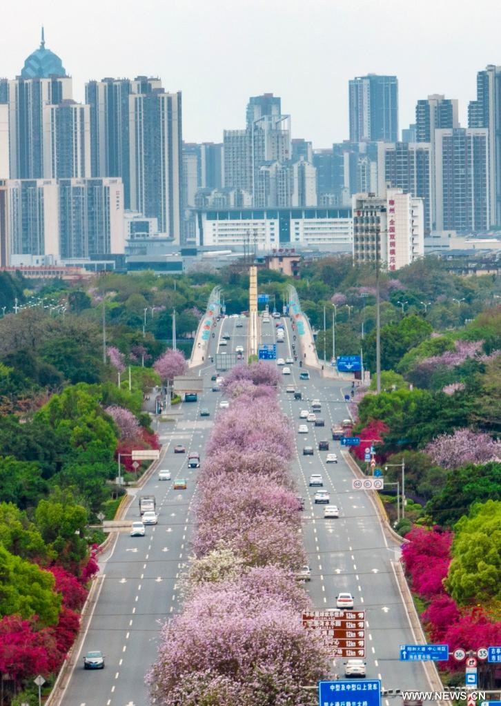 ???? ????????? ???? ??? ????? ?????? ?????? ?????