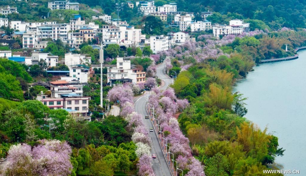 ???? ????????? ???? ??? ????? ?????? ?????? ?????