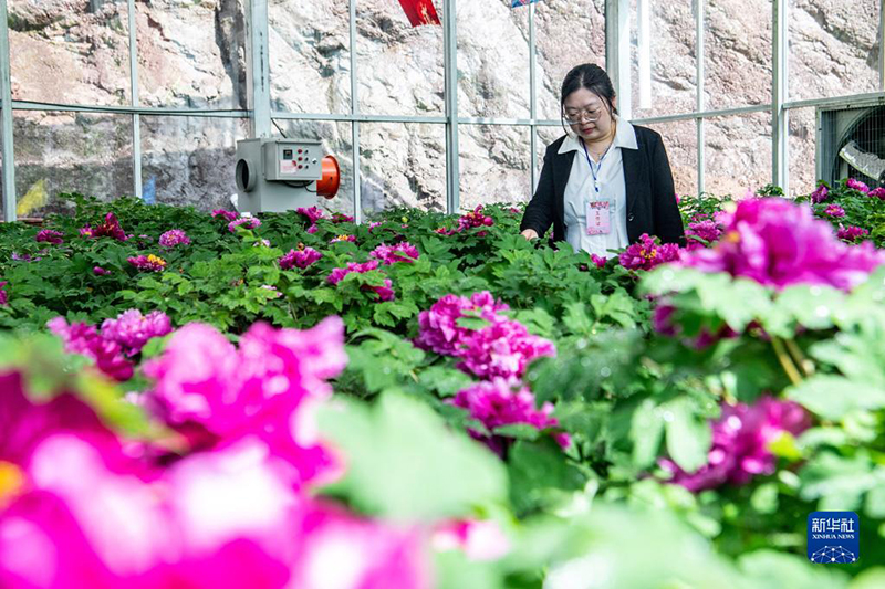 ???? ????????? .. ????? ????? ??? ????? ??????? ??????? ?? ??????????