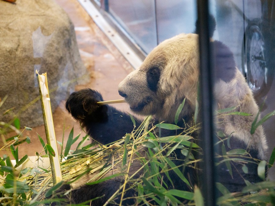 ????? ????? ????? ?? ???????? ??????? ???? ??? ???? ??????? ???????? 