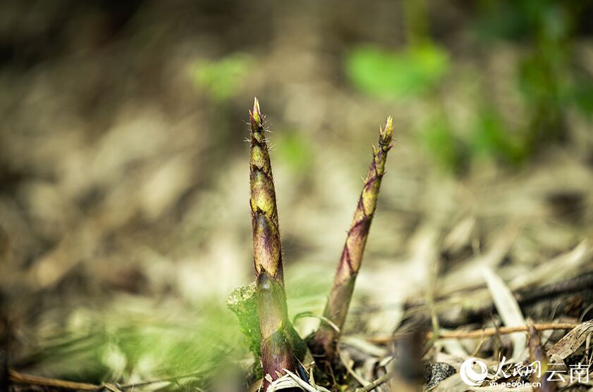 ?????? ??????? ???? ????? ???? ????? ????????