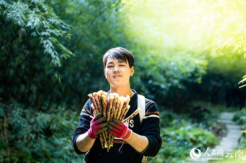 ?????? ??????? ???? ????? ???? ????? ????????