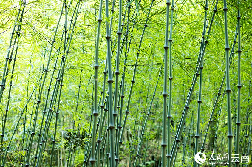 ?????? ??????? ???? ????? ???? ????? ????????