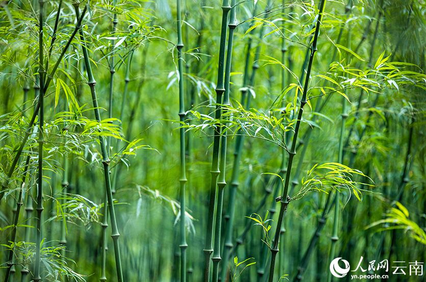 ?????? ??????? ???? ????? ???? ????? ????????