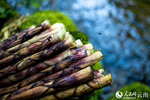 ?????? ??????? ???? ????? ???? ????? ????????