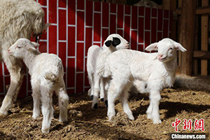 ???? ??????? ?? ???????? ???????? ?? ????? ?????? ????????