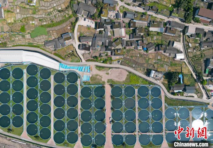 ????? ????? ????? ????? ????? ?? ???? ???????? ?????? ???? ????? 50 ???? ?? ????????