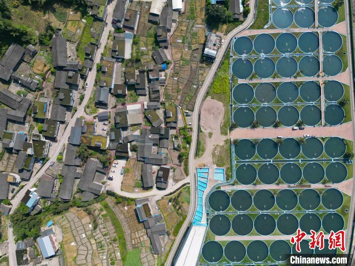 ????? ????? ????? ????? ????? ?? ???? ???????? ?????? ???? ????? 50 ???? ?? ????????