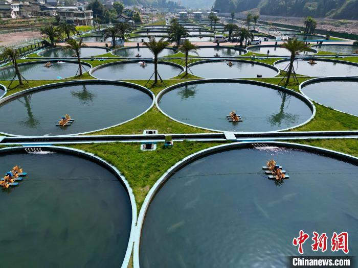 ????? ????? ????? ????? ????? ?? ???? ???????? ?????? ???? ????? 50 ???? ?? ????????