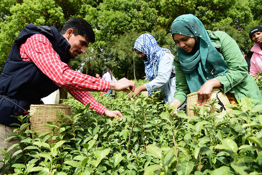 ???? ?????? ??????? ??? ????? ?? ???????