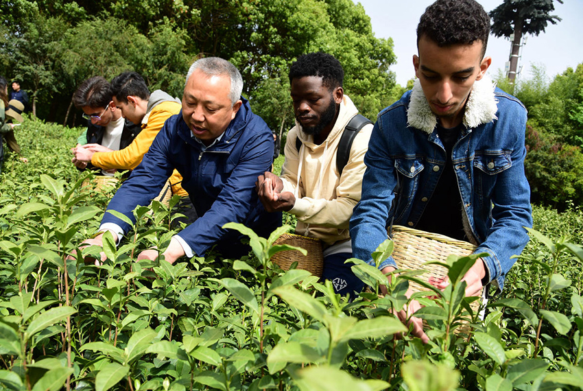 ???? ?????? ??????? ??? ????? ?? ???????