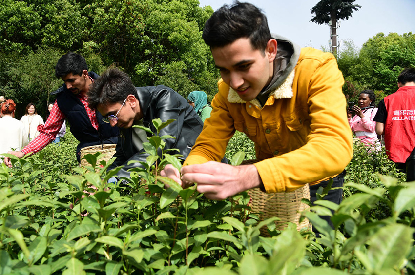 ???? ?????? ??????? ??? ????? ?? ???????