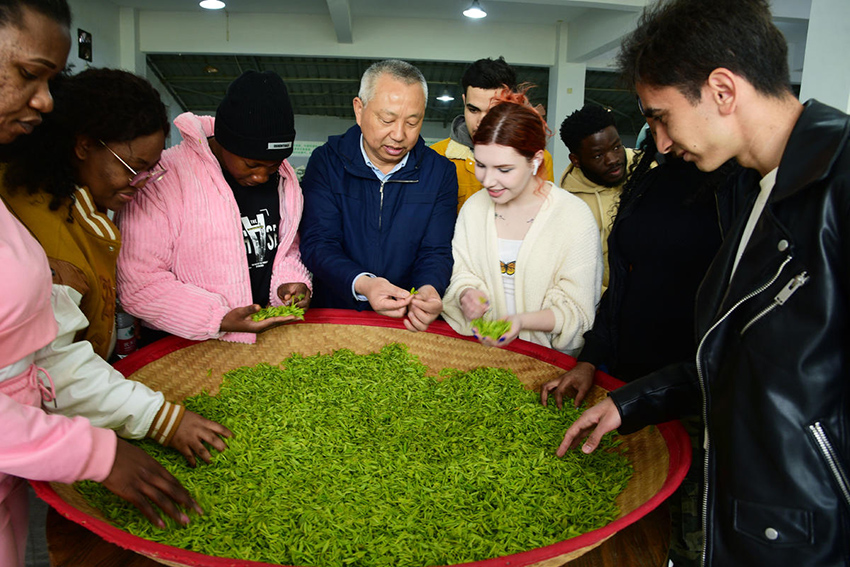 ???? ?????? ??????? ??? ????? ?? ???????