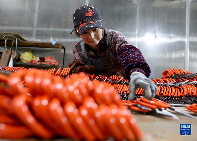 ?????? ???????: ???? ????? ???????? ???????? ?? ?????