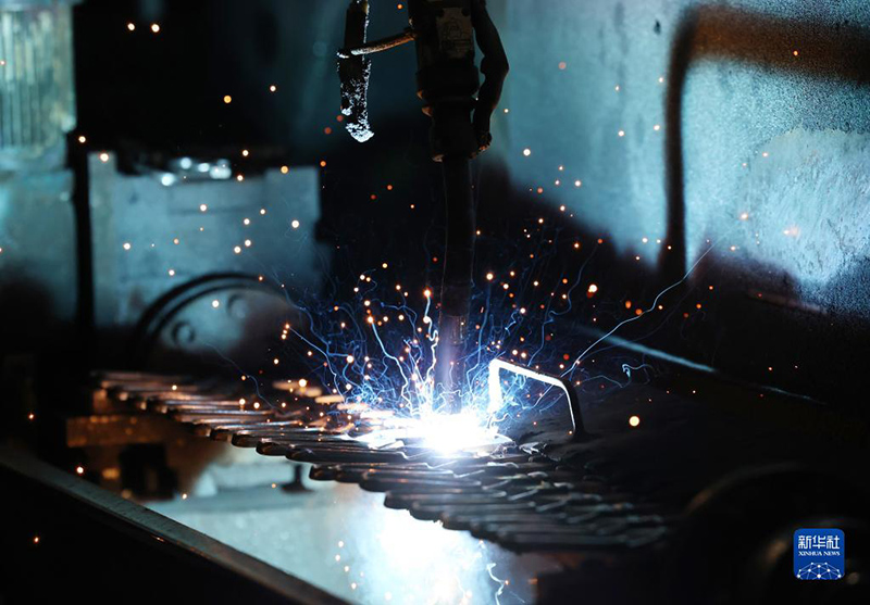 ?????? ???????: ???? ????? ???????? ???????? ?? ?????