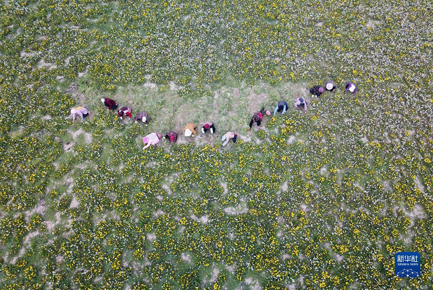 ???????? ?? ???????? ??? ?? ???????