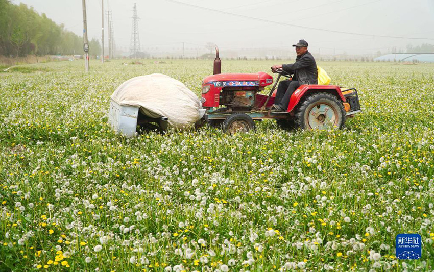 ???????? ?? ???????? ??? ?? ???????