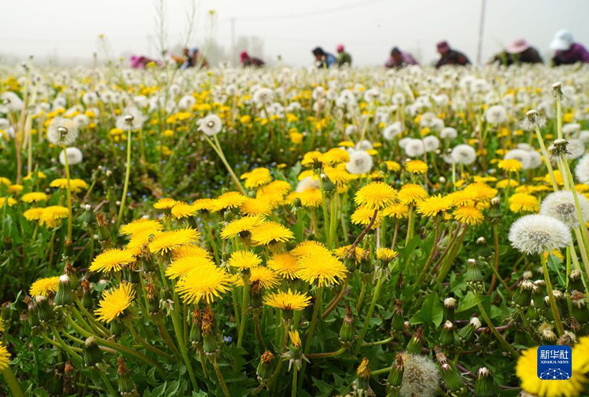 ???????? ?? ???????? ??? ?? ???????