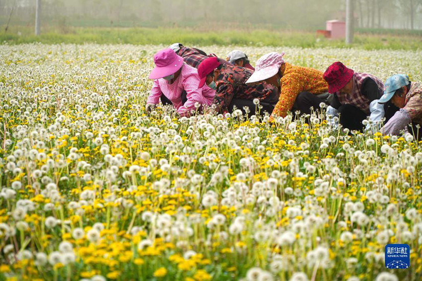 ???????? ?? ???????? ??? ?? ???????