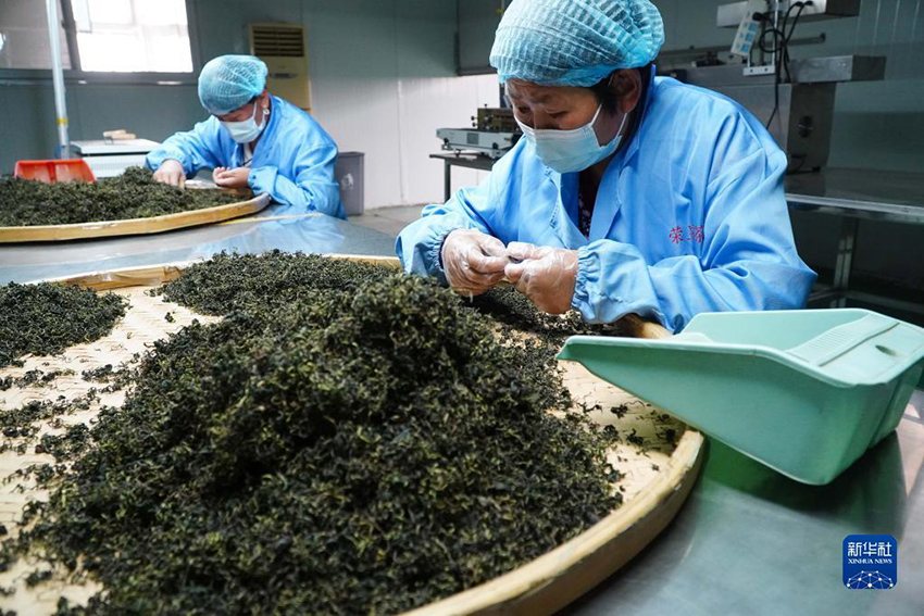 ???????? ?? ???????? ??? ?? ???????