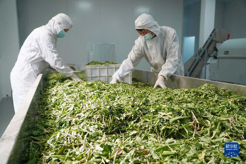 ???????? ?? ???????? ??? ?? ???????