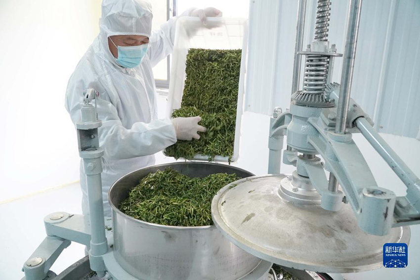 ???????? ?? ???????? ??? ?? ???????