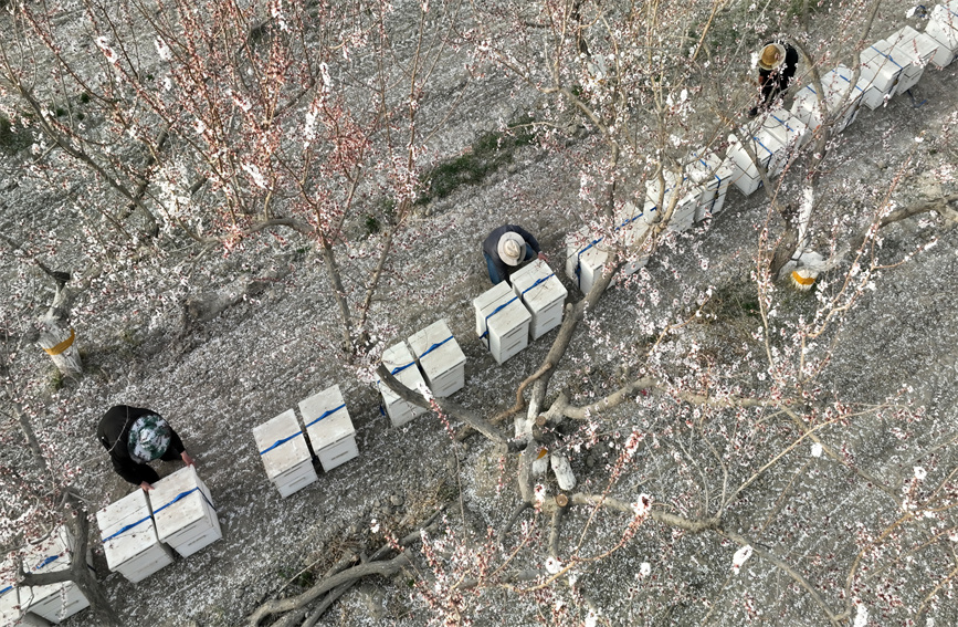 ?????? ????????: ???? ????? ??????? ???? ???? ?????? ???????