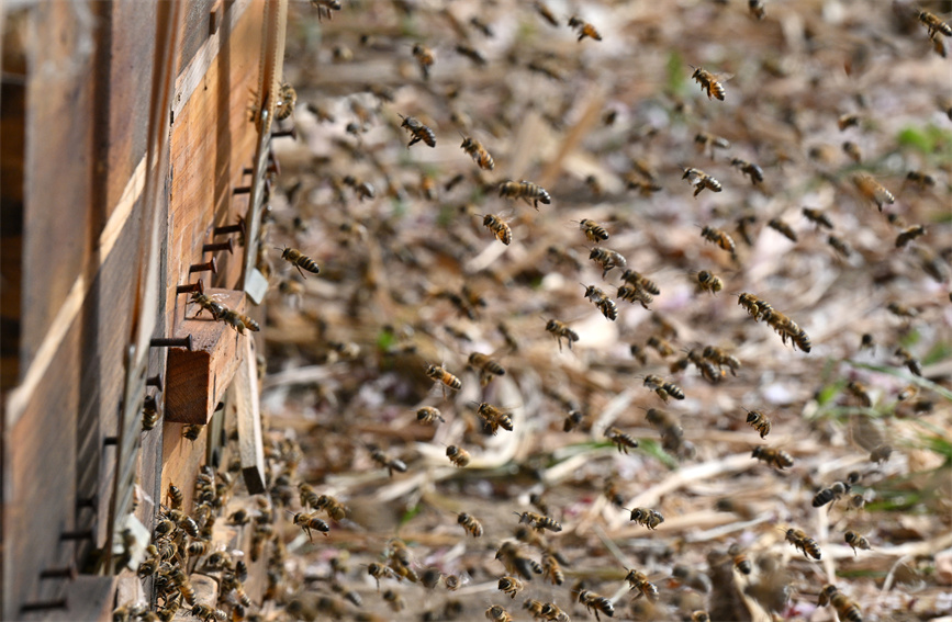 ?????? ????????: ???? ????? ??????? ???? ???? ?????? ???????