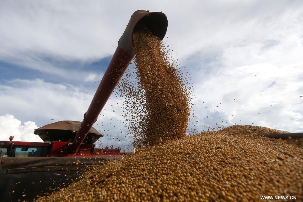 ???? ??? ?????? ?? ????????