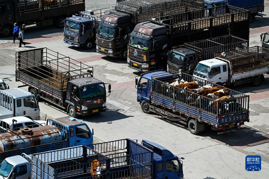 ?????? ??? ??????? ?? ???????? ???????? ????????