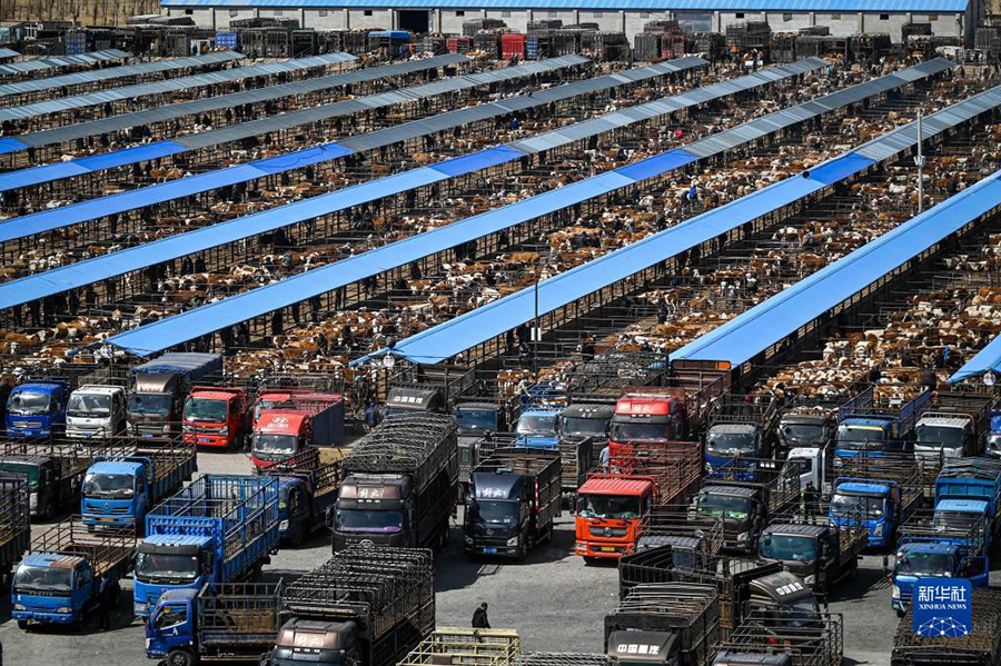 ?????? ??? ??????? ?? ???????? ???????? ????????