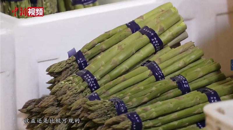 ?????? ????? (????????) ????? ??? ????? ??????? ????????