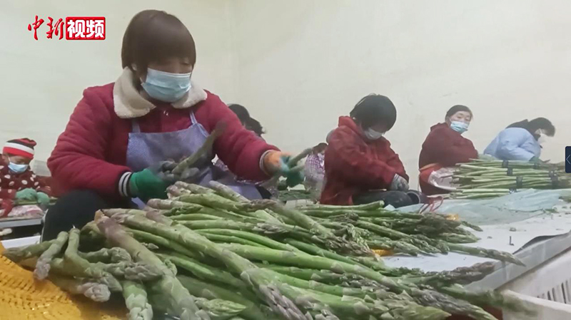 ?????? ????? (????????) ????? ??? ????? ??????? ????????