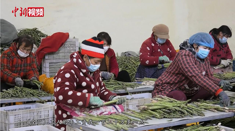 ?????? ????? (????????) ????? ??? ????? ??????? ????????