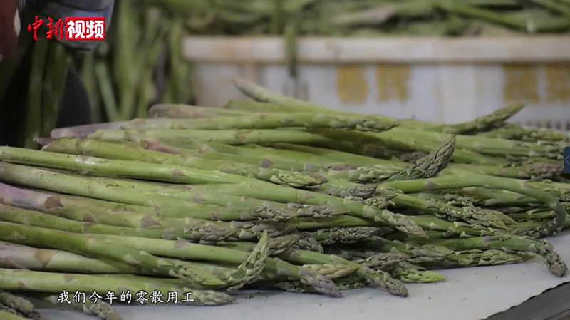 ?????? ????? (????????) ????? ??? ????? ??????? ????????