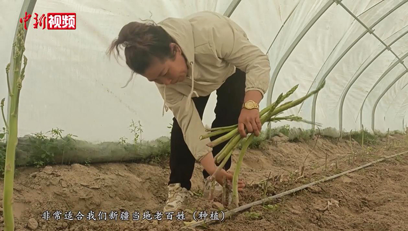 ?????? ????? (????????) ????? ??? ????? ??????? ????????