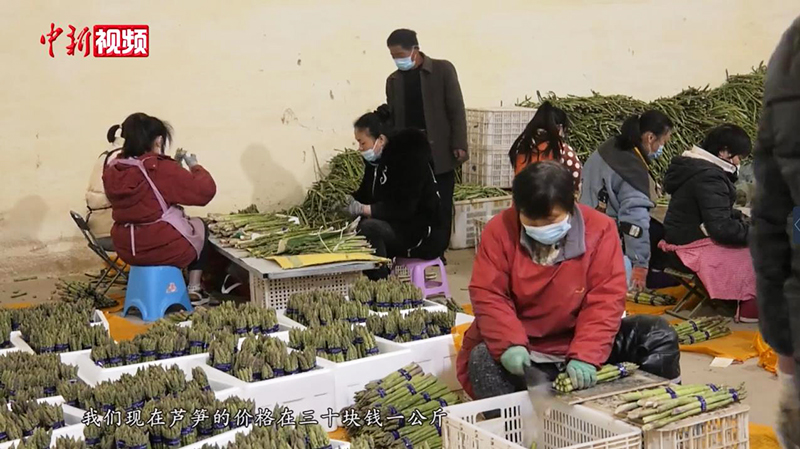 ?????? ????? (????????) ????? ??? ????? ??????? ????????